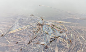 Жители Владимирской области снова пожаловались на пластик в Клязьме
