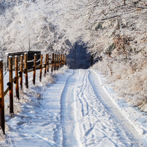 Во Владимирской области ударят морозы