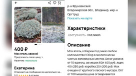 Из заказника во Владимирской области вывезли мох на 1 млн рублей