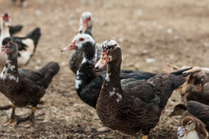 13 день второй седмицы Великого поста: что можно и нельзя 30 марта