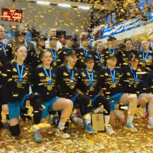 Впервые «Владимирские львицы ВлГУ» стали чемпионками Высшей Лиги