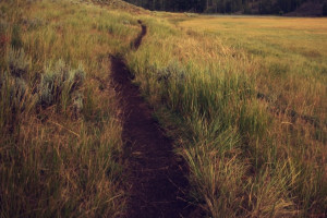 Пропавшую во Владимирской области женщину в красном халате нашли мертвой