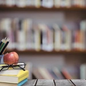 Учителя школы №6 в Кольчугино попросили губернатора о капремонте