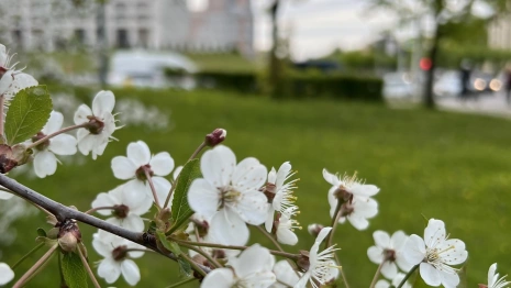 Прогноз погоды во Владимире и области на 1 мая