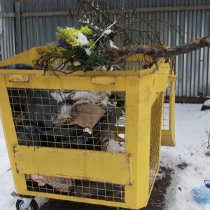 Намусорившие на одном из кладбищ во Владимире попали в фотоловушку