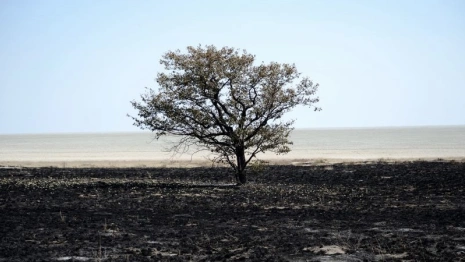 Во Владимире сгорел участок в 300 квадратов