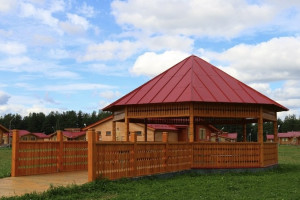 В лагере под Петушками пройдет пилотная смена психолого-социальной реабилитации для детей