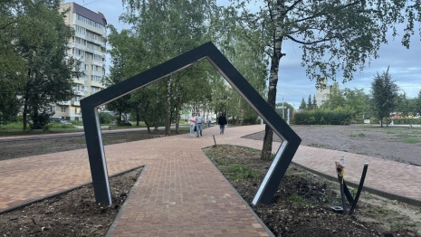 На бульваре Художника Иванова во Владимире высадят живую изгородь