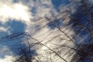 МЧС предупредило владимирцев об урагане 22-27 м/с