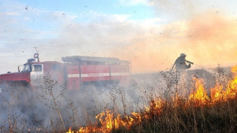 Во Владимирской области с начала пожароопасного сезона произошло 36 лесных пожаров