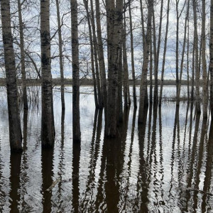 Пострадавшим во время половодья владимирцам выплатят до 156 тыс. рублей