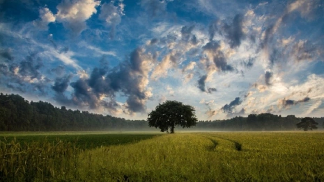Экс-главу Коврова будут судить за халатность в выделении земли многодетным 