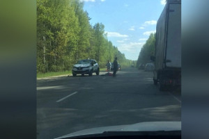 Во Владимирской области сбили девочку на лошади 