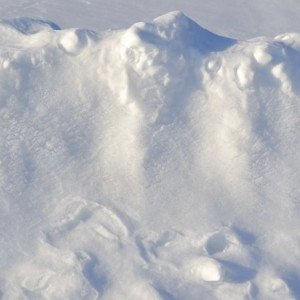 За сутки во Владимирской области выпали рекордные 21 мм снега