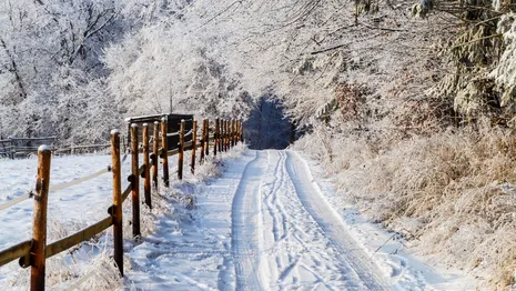 Рабочая неделя во Владимире начнется со снега и мороза