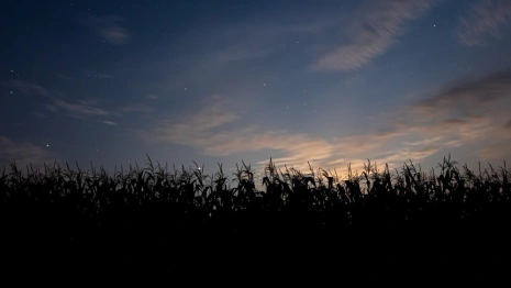 Прогноз погоды на 3 апреля 2024 года во Владимире и области