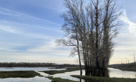 Во Владимире в половодье может затопить 32 СНТ