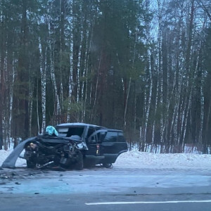 Во Владимирской области в аварии пострадали два человека