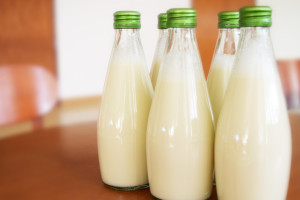 В молочных продуктах Владимирской области нашли кишечную палочку