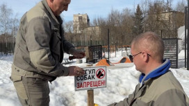 Во Владимире запретили выгул собак на газонах