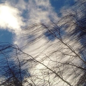 МЧС объявило штормовое предупреждение во Владимирской области 14 марта