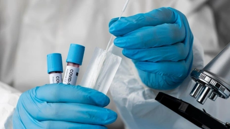 Во Владимирской области коронавирусом заболел 151 человек