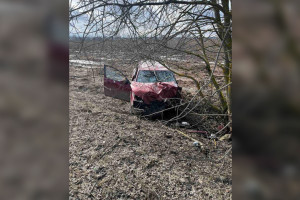 Во Владимирской области водитель и пассажир иномарки погибли в ДТП с деревом
