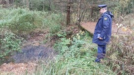 Поселок во Владимирской области из-за отсутствия центральной канализации заливали стоки