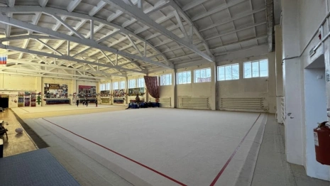 Во Владимире тренер попала под следствие за избиение 8-летней гимнастки