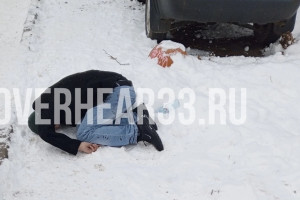 Во Владимире мужчина со шприцем в руках упал у детского сада