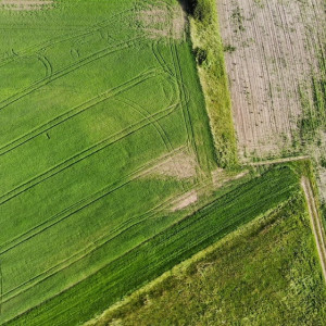 В восьми районах Владимирской области построят дороги к участкам для многодетных 
