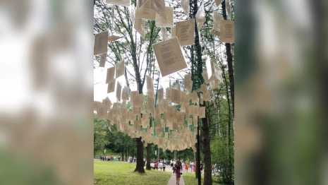 В Фатьяновском парке в Вязниках впервые появились тематические фотозоны