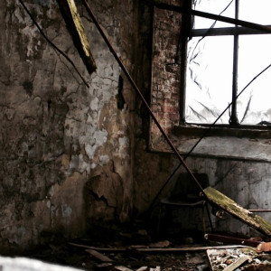 Труп пропавшего 2,5 года назад мужчины нашли у заброшенной фермы под Владимиром