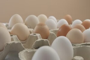 Эксперты связали рост цен на яйца во Владимирской области с птичьим гриппом