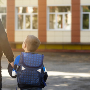 У владимирских школ появятся пристройки
