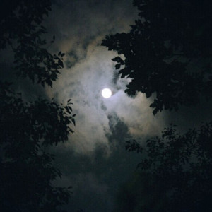 Во Владимирской области вновь пропала эвакуированная из леса пенсионерка