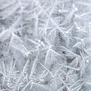 Во Владимире отменили уличные мероприятия из-за резкого похолодания