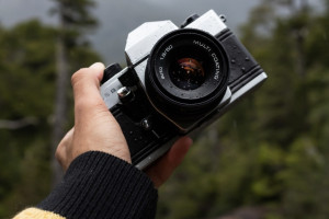 Заповедные территории России оборудуют фотоловушками