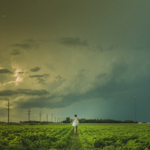 Гроза прогремит во Владимирской области в выходные