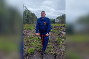 Попавший под следствие прокурор из Владимирской области ушел на СВО