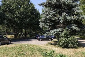 Благоустройство бульвара Художника Иванова во Владимире обойдется в 100 млн рублей