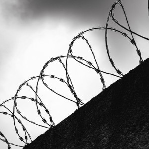 Тюрьмы Владимирской области станут частью большого эксперимента
