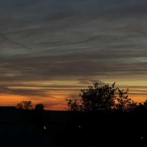 Во Владимирской области до 23 сентября спрогнозировали высокую пожарную опасность