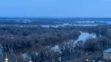 В выходные во Владимирской области отступят заморозки