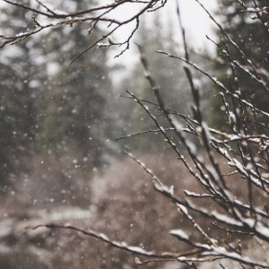 Прогноз погоды во Владимирской области на 16 января
