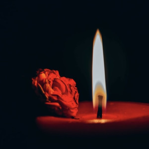 Владимиро-суздальский музей-заповедник отменил мероприятия из-за теракта в «Крокусе»