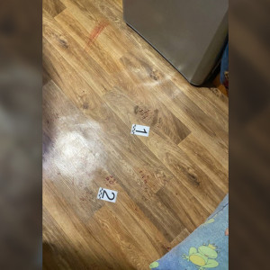 Во Владимирской области убившего соседа мужчину признали невменяемым