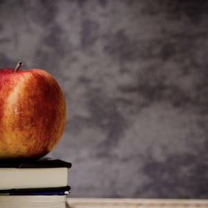 Во Владимирской области колледжи начнут готовить учителей для 5-9 классов