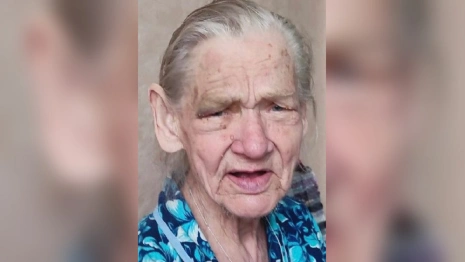 В соседнем с Владимирской областью регионе пропала 85-летняя бабушка