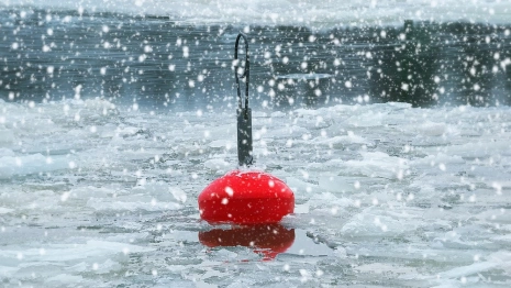 Прогноз погоды во Владимирской области на 26 февраля